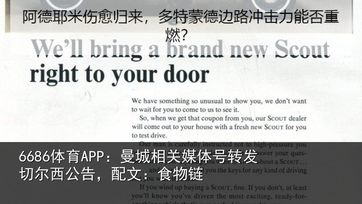 6686体育APP：曼城相关情况尔西公告，配文：食物链