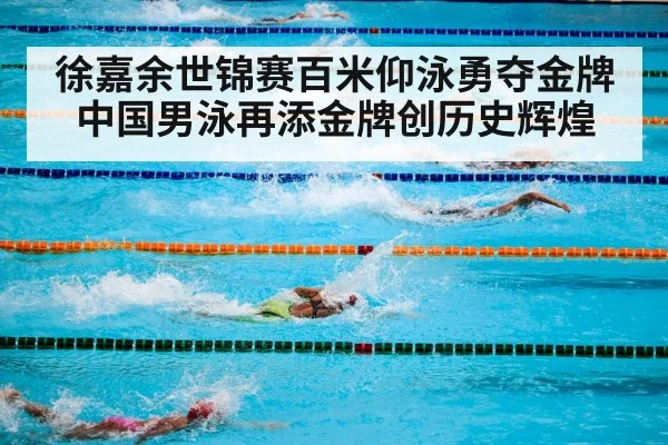 徐嘉余世锦赛百米仰泳勇夺金牌中国男泳再添金牌创历史辉煌